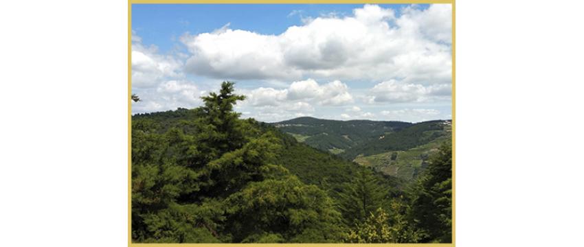 Quinta da Telheira - Vistas MagnÃ­ficas