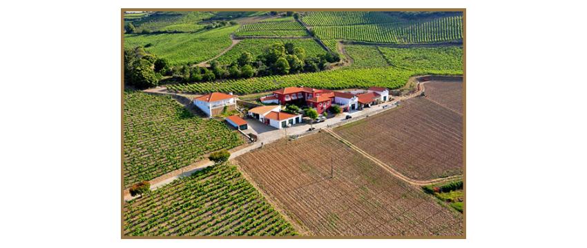 Quinta dos Espinheiros