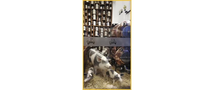 O CabeÃ§as ArmazÃ©m das Sandes