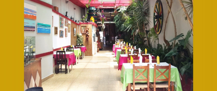 Restaurante Sol e Jardim