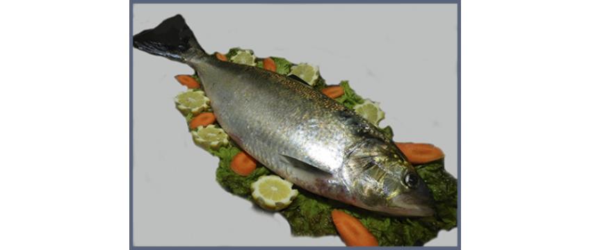 Restaurante Solar do Pescado