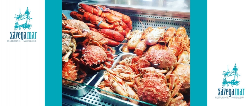 Xávega-Mar  Marisqueira 