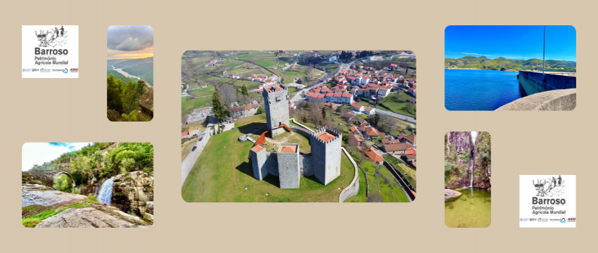 Restaurante  A Cista