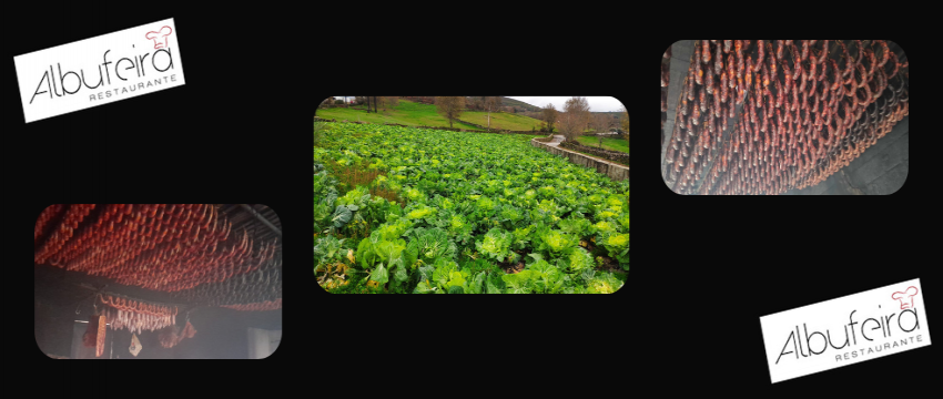 Restaurante Albufeira