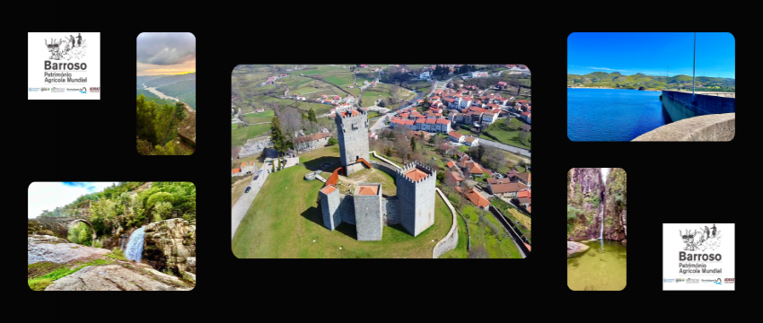 Restaurante Albufeira