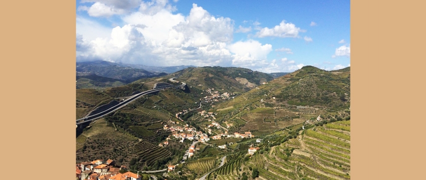 Restaurante Repentina