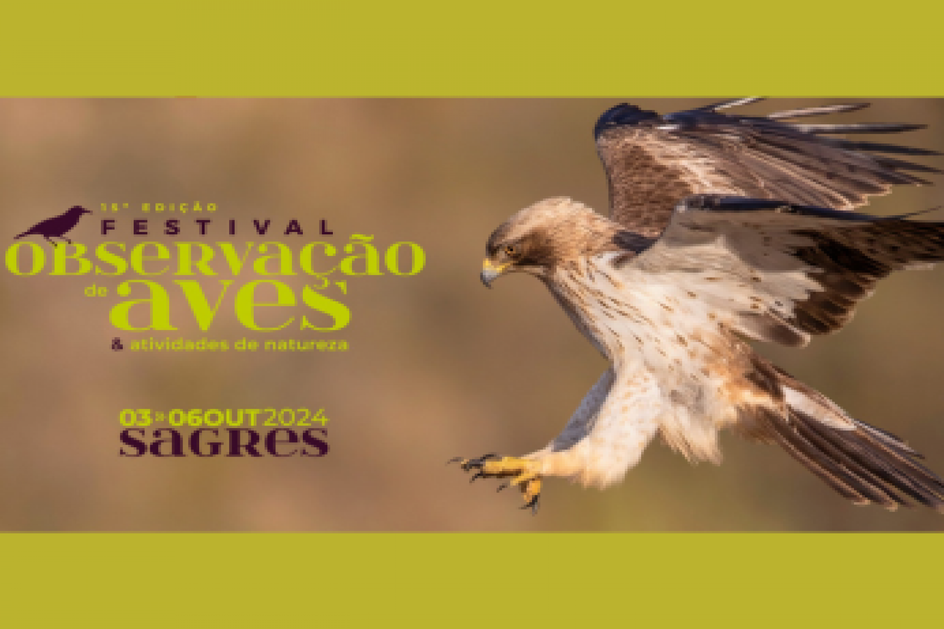 FESTIVAL DE OBSERVAÇÃO DE AVES - SAGRES
